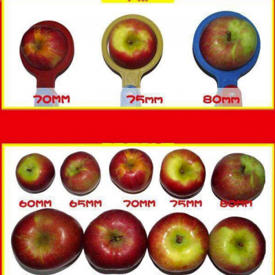 丑蘋果水果新鮮