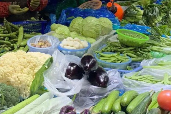 金山時鮮蔬菜價格如何？一起來看→